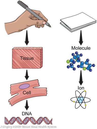 Como o meio ambiente influencia a sa�de humana?