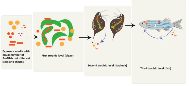 Nanopartículas: Alta tecnologia ou ameaça à saúde e ao planeta?