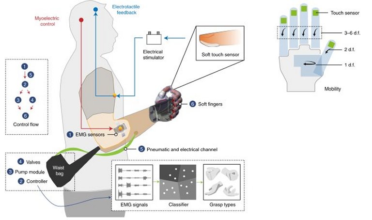 Mão robótica flexível oferece controle tátil