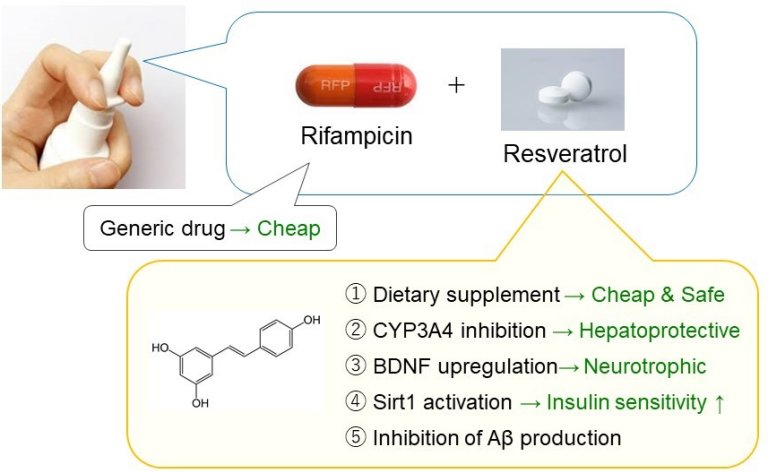Combinação de rifampicina e resveratrol interrompe demência