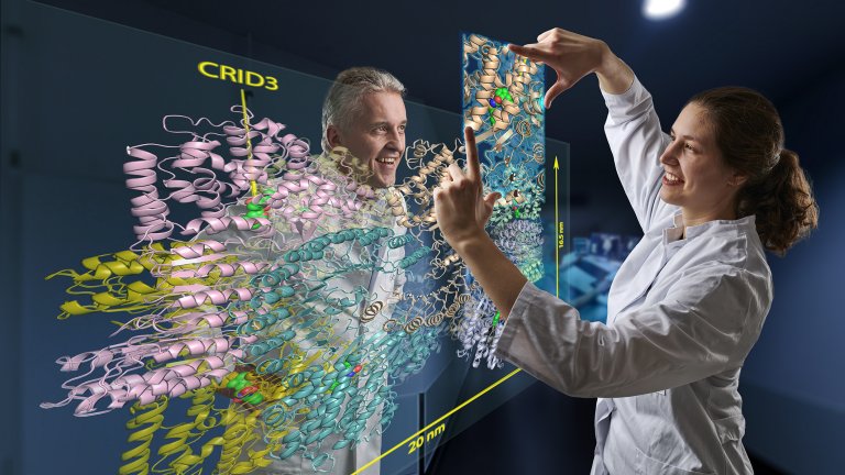 Cientistas desvendam funcionamento da chave geral da inflamao