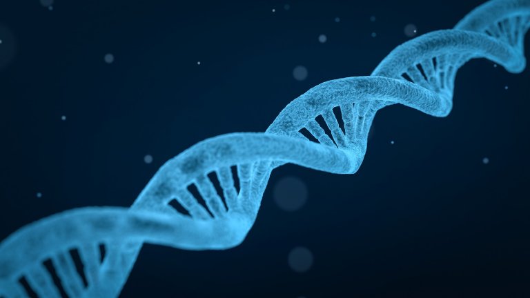 Teste identifica 50 doenças genéticas raras