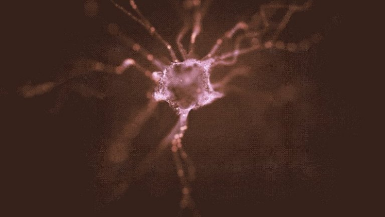 Neurônios cultivados em laboratório são nova esperança contra doença de Parkinson