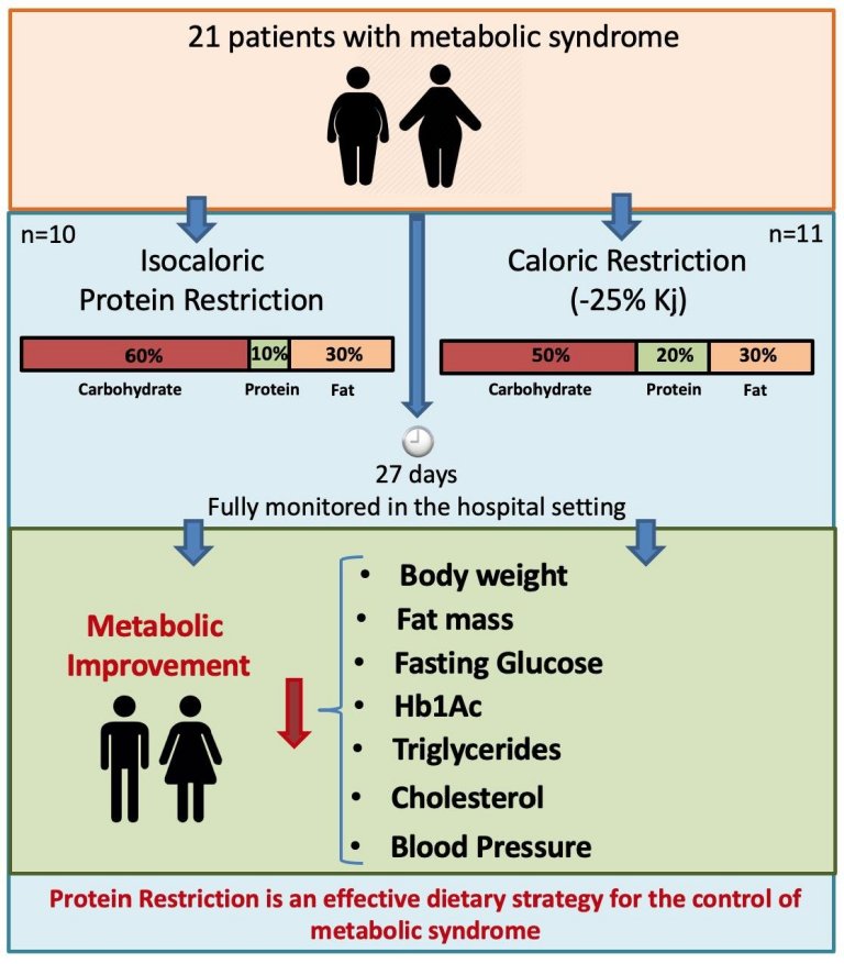 Comparativo entre dieta de restrio de protenas e dieta de restrio de calorias