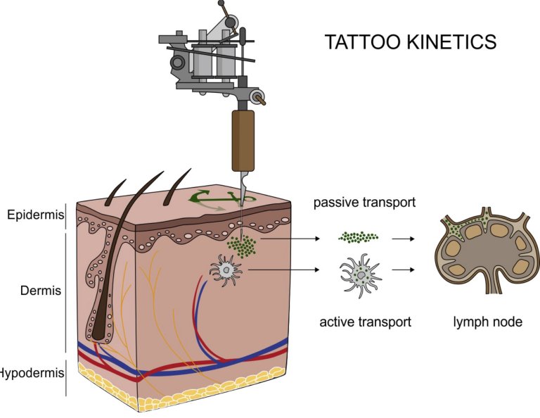 Quais so os ingredientes das tintas de tatuagem?