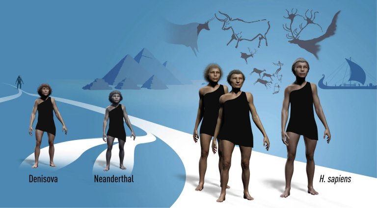 Nobel de Medicina premia estudos genticos de Neandertais e Denisovanos