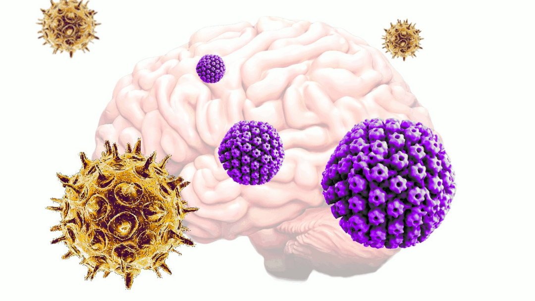 Do autismo ao Alzheimer, a culpa pode estar no metabolismo do cérebro