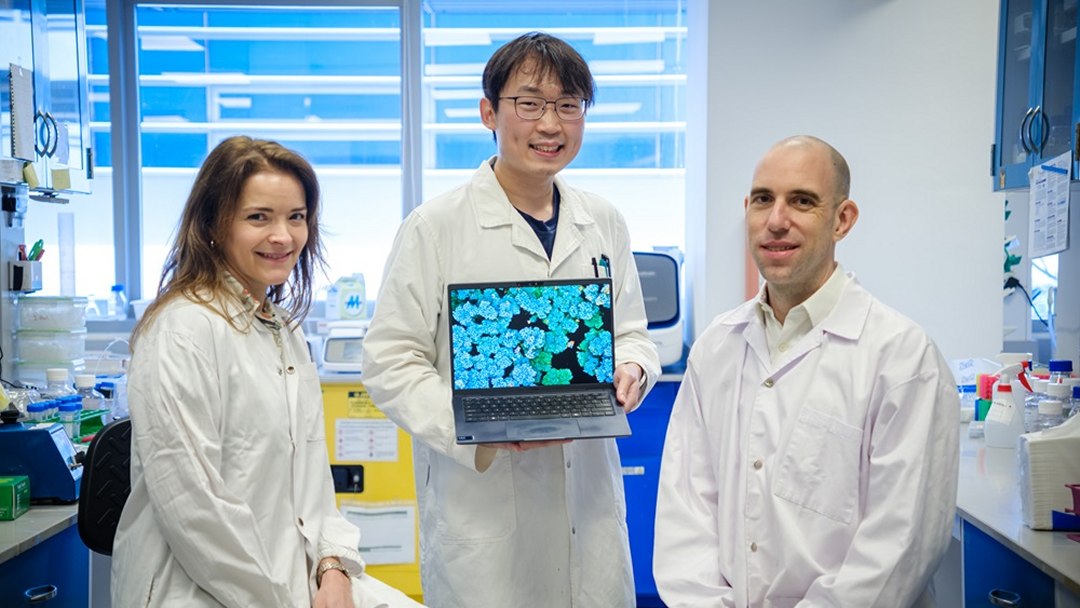 Curativo com antioxidante poder� destruir bact�ria melhor que antibi�tico