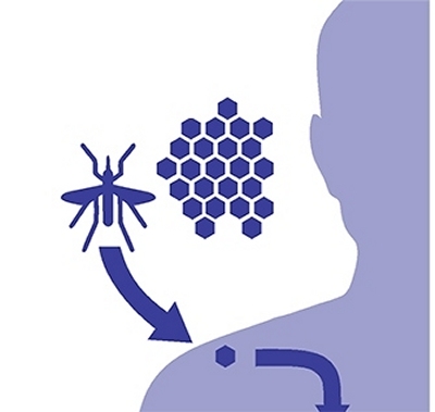 Anvisa restringe indicaes da vacina contra a dengue