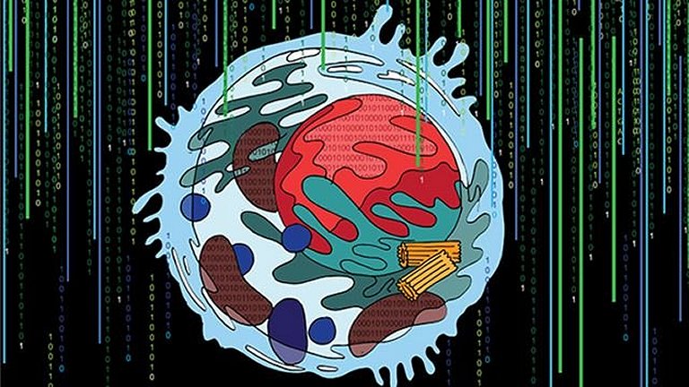 Es posible que la ciencia no conozca la mitad de los componentes de una célula