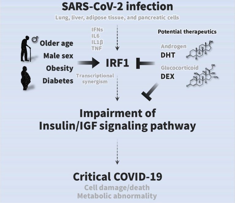 A surpreendente conexo entre covid e aparecimento do diabetes