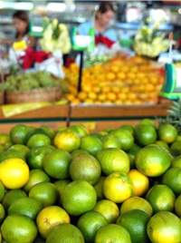 Unicamp cria tcnica para identificar resduos de agrotxicos em laranjas e tangerinas