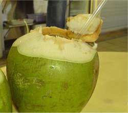 Água de coco supera isotônicos como bebida esportiva