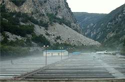 Nutrição de peixes pode ser solução para nutrição humana