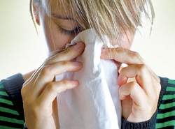 Por que as alergias estão aumentando?