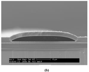 Criado um biochip capaz de detectar vrus