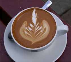 Café tem proteína com efeito similar ao da morfina