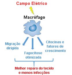 Campos eltricos curam ferimentos e evitam infeces