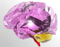 O cérebro humano está no limite do caos