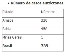 Febre chikungunya comea a chegar ao Sudeste