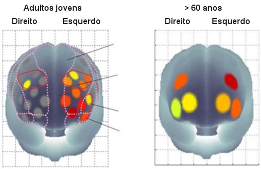 Idosos sarados usam parte do crebro usado pelos jovens