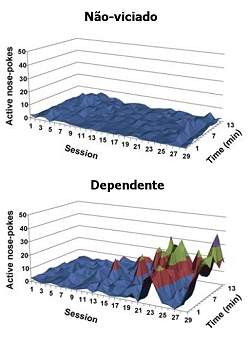 Dependncia de drogas: por que apenas algumas pessoas se viciam?