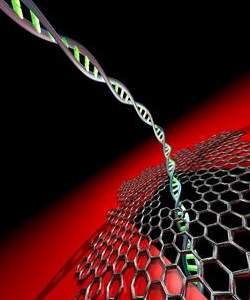 Organização Mundial da Saúde vai mapear riscos da Nanotecnologia