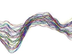 Palavaras têm sentimentos