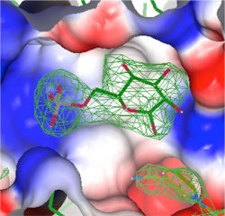 Estudo abre caminho para nova droga contra Chagas