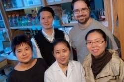 Epigenética começa nova busca por genes ligados ao câncer