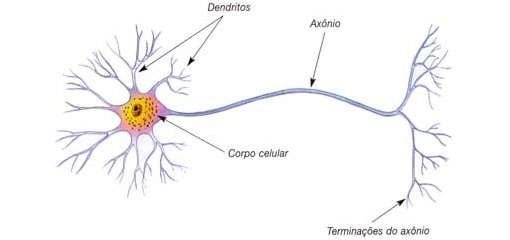 Capacidade do cérebro é muito maior do que cientistas pensavam