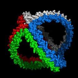 Nanopartculas de colesterol bom localizam e destroem clulas de cncer