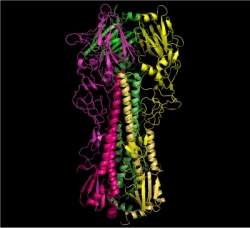 Cientistas acham novo caminho para vacina universal contra gripe