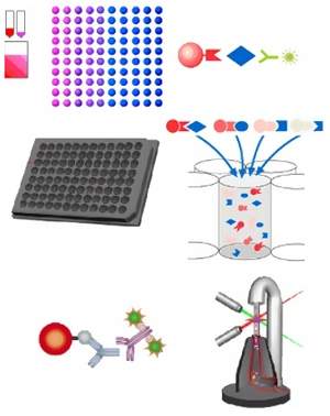 Exame molecular diagnostica at 100 doenas ao mesmo tempo