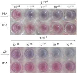 Sensor visual mostra sinais precoces de doenas a olho nu