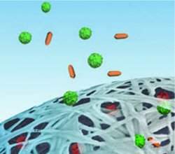 Cientistas querem construir fábrica de remédio dentro do corpo