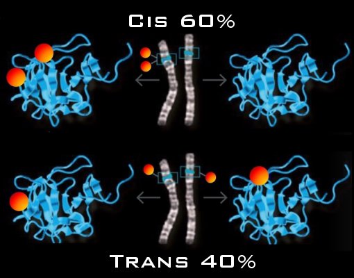 Esquea tudo o que voc pensava que sabia sobre genes e mutaes