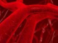 Descobertos genes ligados ao controle do colesterol no sangue