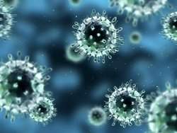 Vírus H1N1 mutante desenvolve resistência rápida