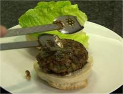 Carne artificial: cientistas comem primeiro hambúrguer de laboratório