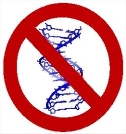 Herana epigentica pode ser mais frequente que herana pelo DNA