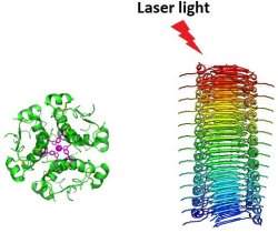 Alzheimer e Parkinson podem ser curadas com laser?