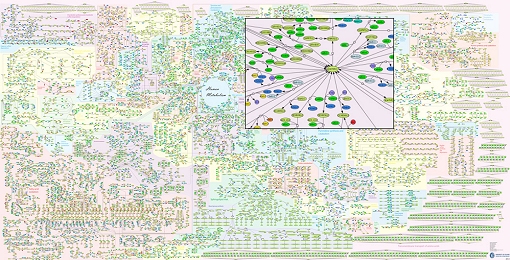 Criado primeiro Atlas do Metabolismo Humano