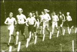 Atividade fsica bem orientada aumenta autonomia de idosos