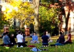 Meditao melhora foco, ateno e relacionamento no trabalho