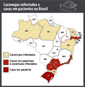 Meningite transmitida por caramujo espalha-se pelo Brasil