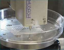 Miniórgãos em biochip substituem animais em testes de medicamentos