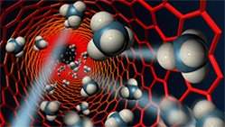 Nanopartculas hbridas combatem microorganismos e fungos