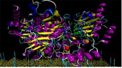 Sensor nanotecnolgico detecta cncer e doenas nervosas