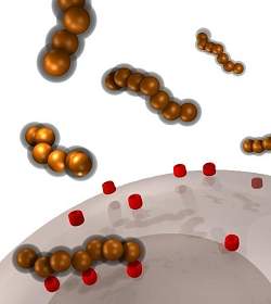 Nanovermes carregam medicamento e levam quimioterapia diretamente a tumores